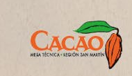 Mesa Técnica Regional de Cacao